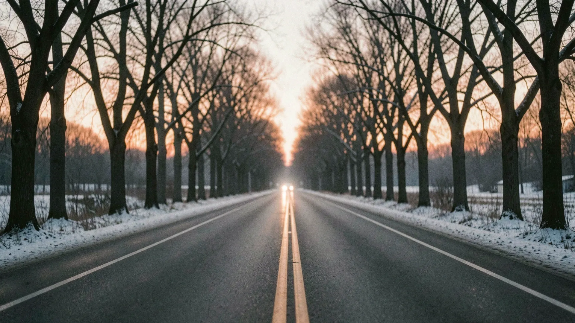 Illustration of an empty two-lane road lined with bare oak trees at dusk after light snow